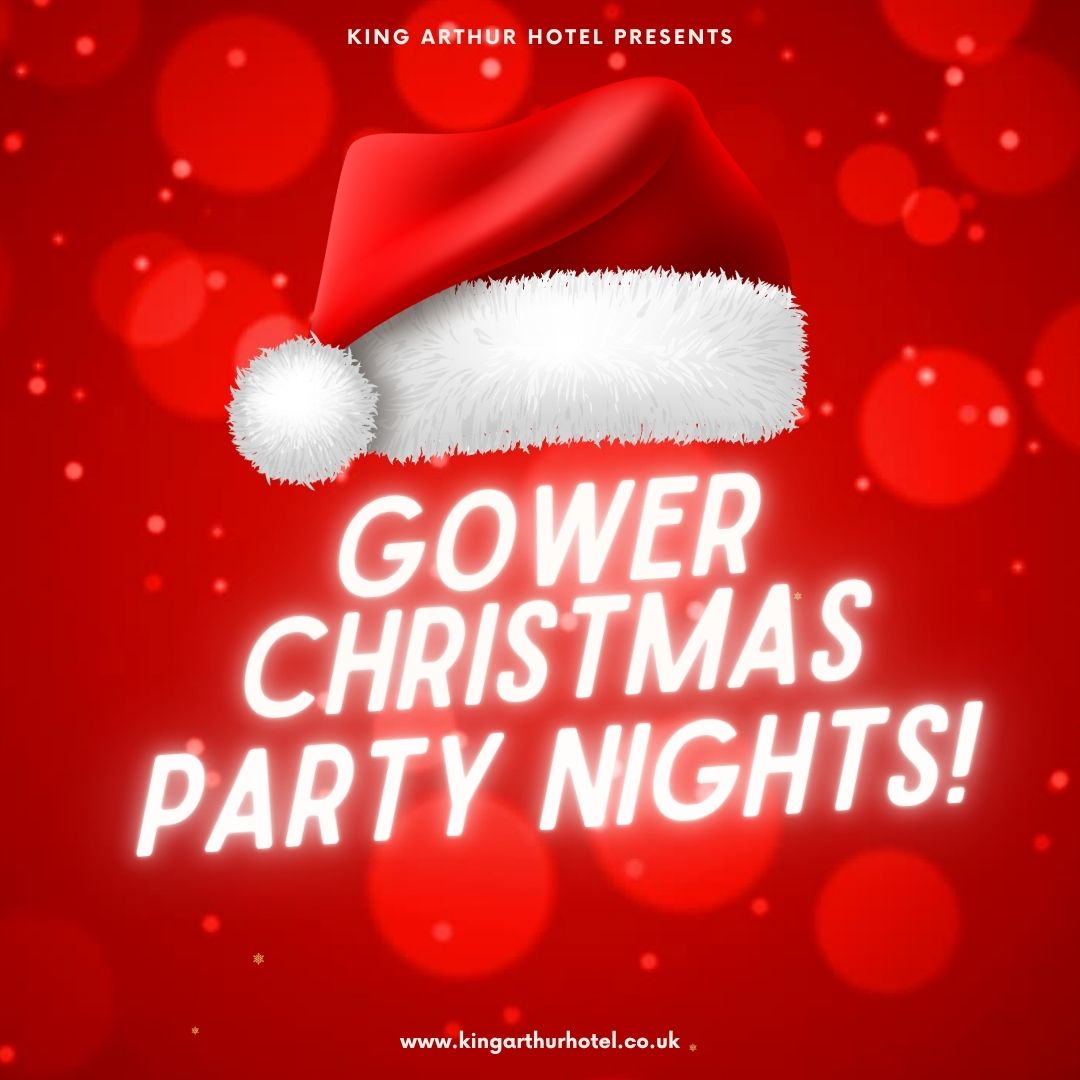 without qr (4) christmas parties swansea