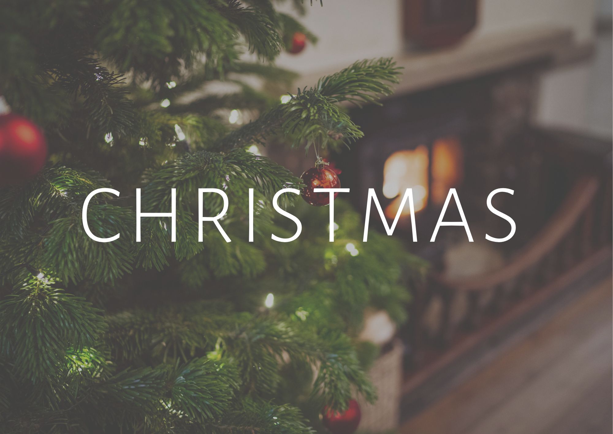 christmas menu swansea christmas party venue